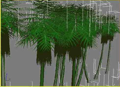 DS MAX 7

