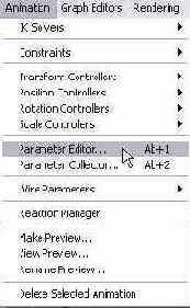DS MAX 7
