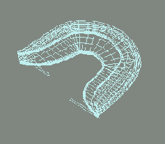    3ds max 5
