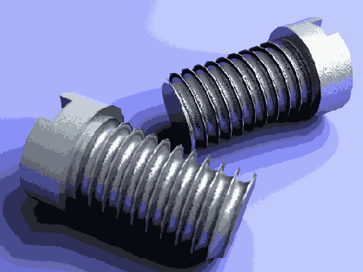   3dsmax 7

