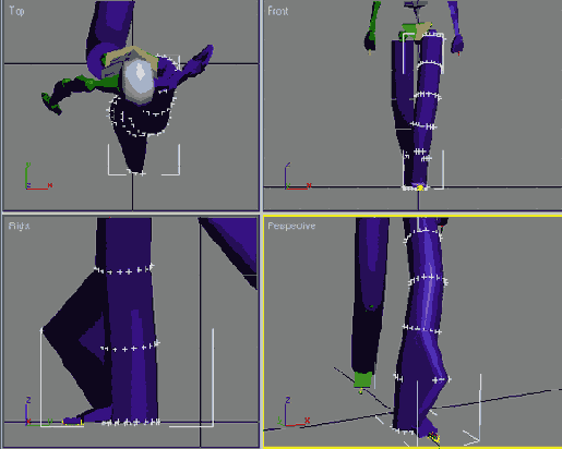   3dsmax 7
