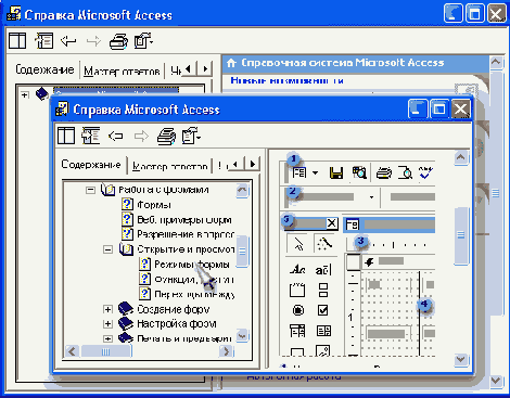   Access 2002
