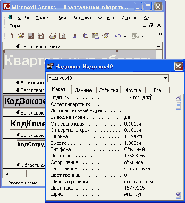   Access 2002

