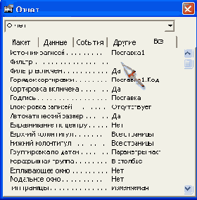   Access 2002
