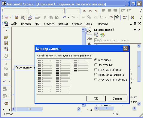   Access 2002
