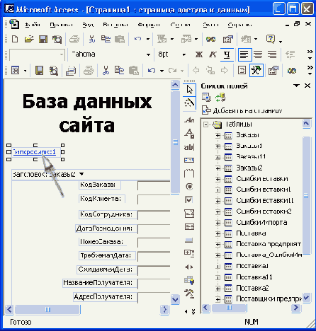   Access 2002

