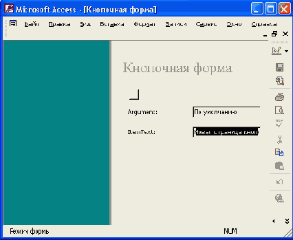   Access 2002
