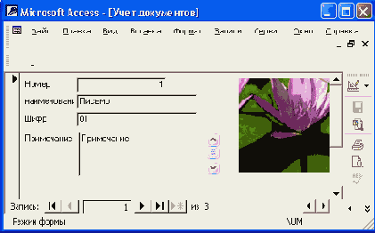   Access 2002
