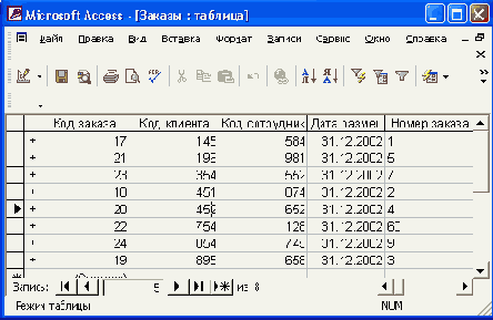   Access 2002
