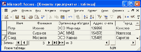   Access 2002
