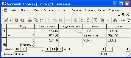   Access 2002
