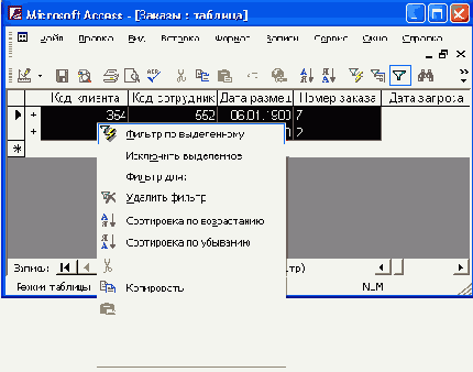   Access 2002
