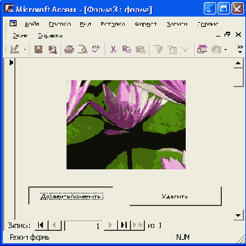   Access 2002
