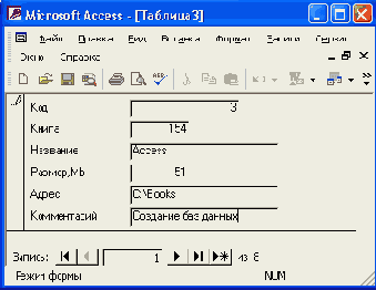   Access 2002
