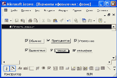   Access 2002
