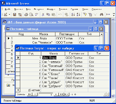 Общие сведения о Microsoft Access