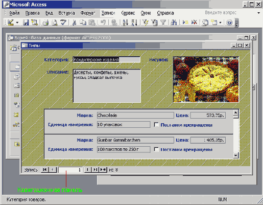   Microsoft Access 2003