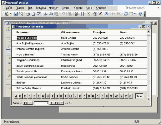   Microsoft Access 2003
