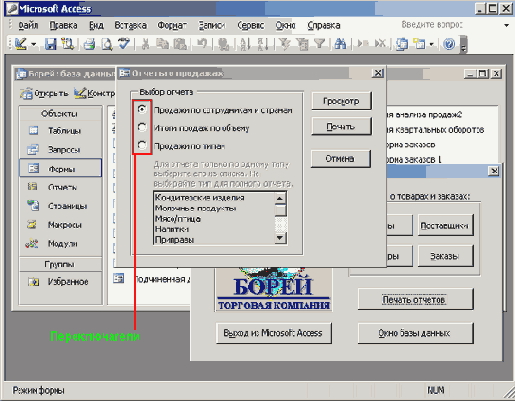   Microsoft Access 2003
