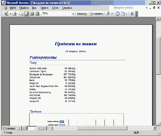   Microsoft Access 2003