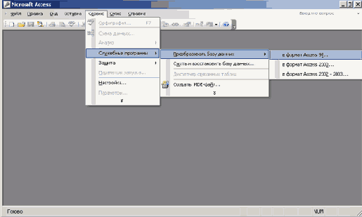   Microsoft Access 2003
