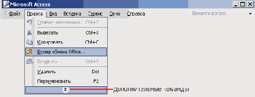   Microsoft Access 2003
