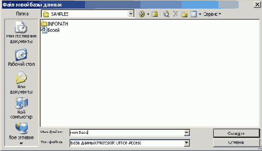  Microsoft Access 2003
