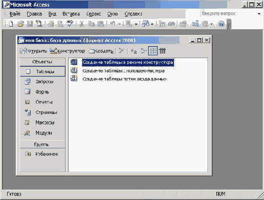   Microsoft Access 2003

