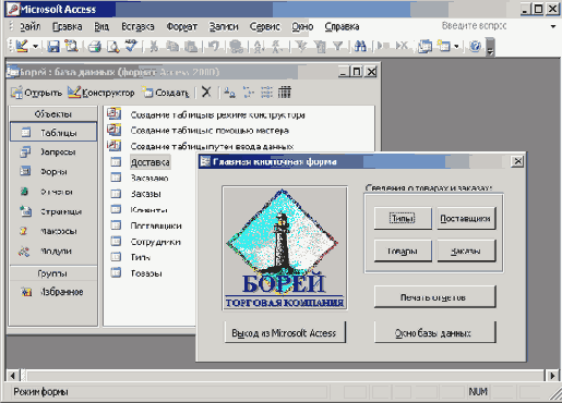   Microsoft Access 2003
