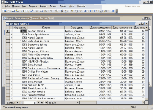   Microsoft Access 2003
