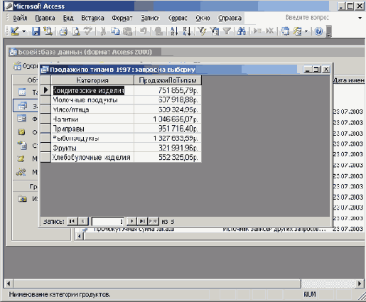   Microsoft Access 2003
