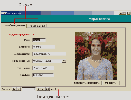   Microsoft Access 2003

