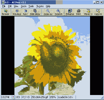   Microsoft Access 2003
