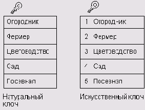   Microsoft Access 2003
