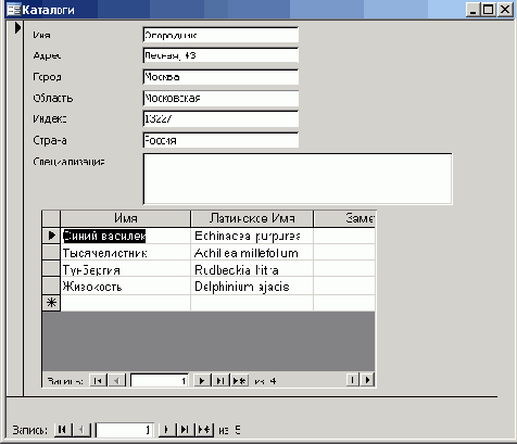   Microsoft Access 2003
