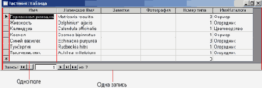   Microsoft Access 2003
