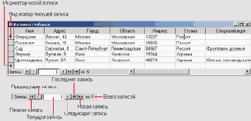   Microsoft Access 2003
