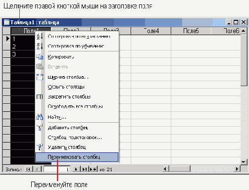  Microsoft Access 2003
