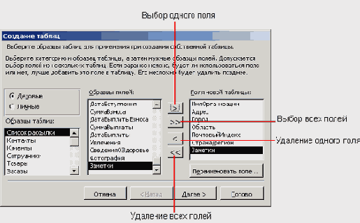   Microsoft Access 2003
