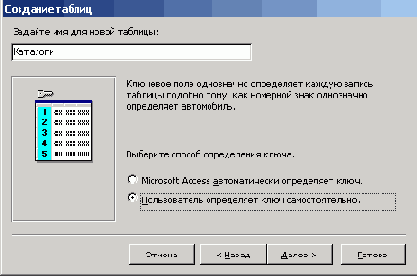   Microsoft Access 2003
