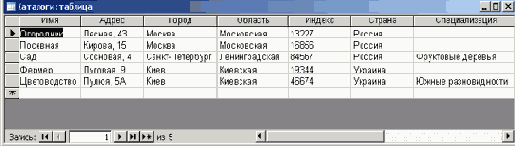   Microsoft Access 2003
