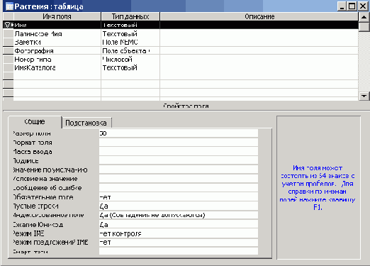   Microsoft Access 2003
