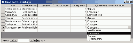   Microsoft Access 2003
