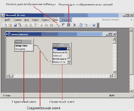   Microsoft Access 2003
