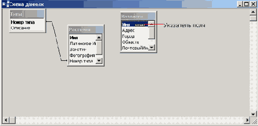   Microsoft Access 2003
