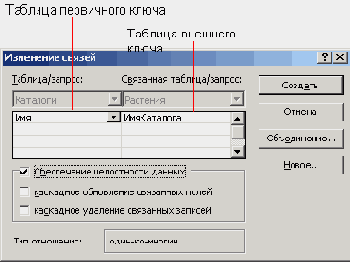   Microsoft Access 2003
