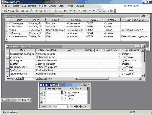   Microsoft Access 2003
