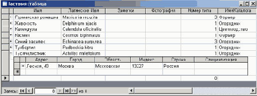   Microsoft Access 2003
