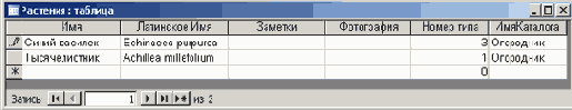   Microsoft Access 2003
