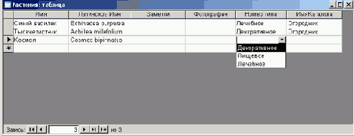   Microsoft Access 2003

